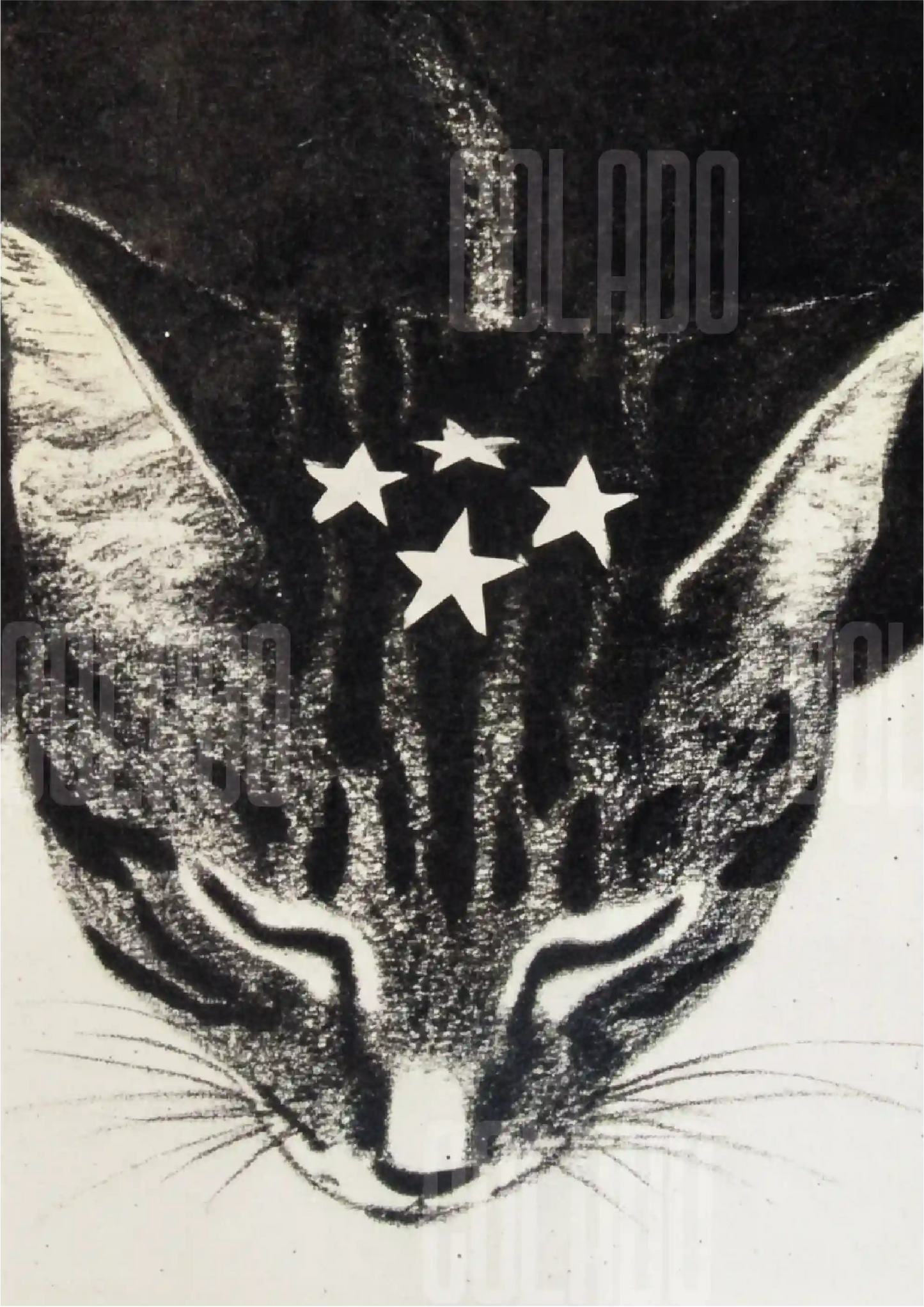 Kit Lambe-lambe Pets Gatitos