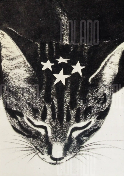 Kit Lambe-lambe Pets Gatitos