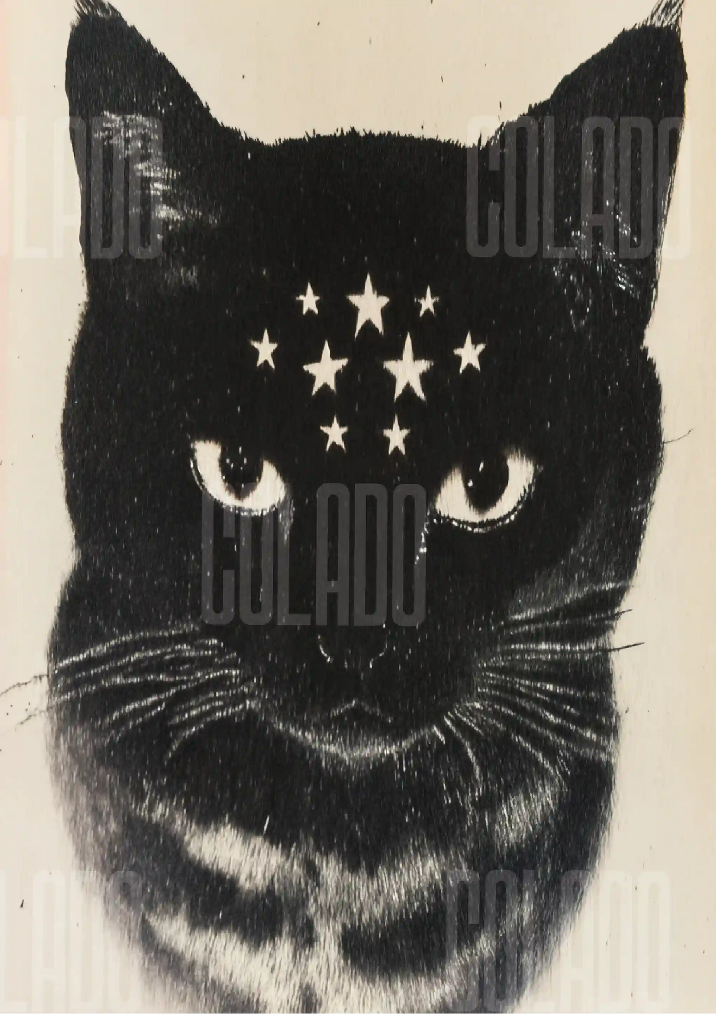 Kit Lambe-lambe Pets Gatitos