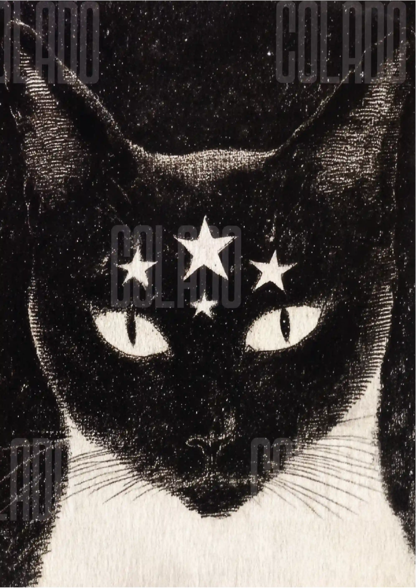 Kit Lambe-lambe Pets Gatitos