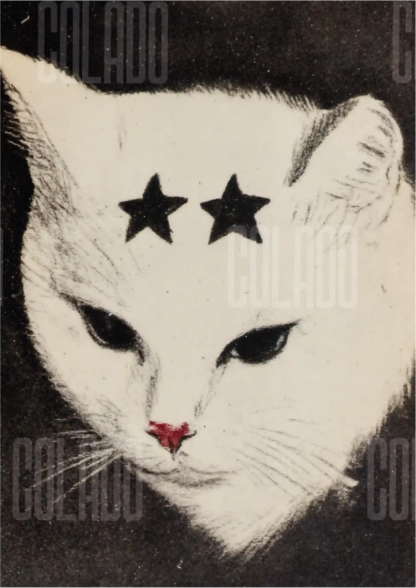 Kit Lambe-lambe Pets Gatitos