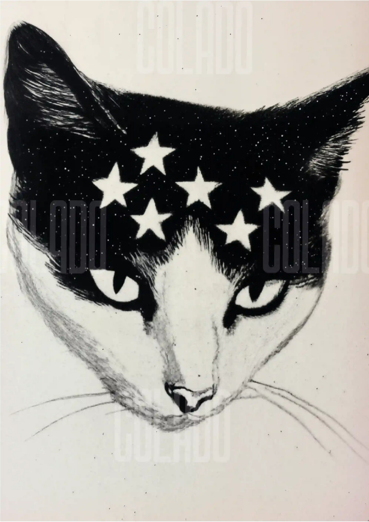 Kit Lambe-lambe Pets Gatitos