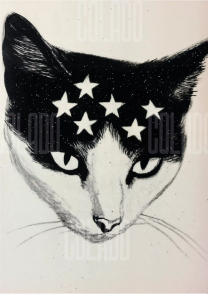 Kit Lambe-lambe Pets Gatitos