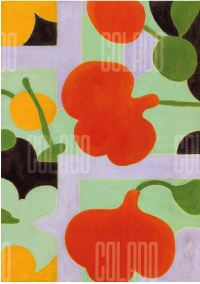 Kit Lambe-lambe Jardim na Varanda