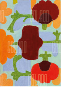 Kit Lambe-lambe Jardim na Varanda