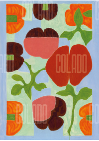 Kit Lambe-lambe Jardim na Varanda