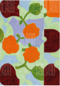 Kit Lambe-lambe Jardim na Varanda