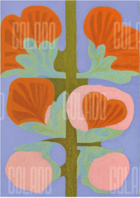 Kit Lambe-lambe Jardim no Quintal