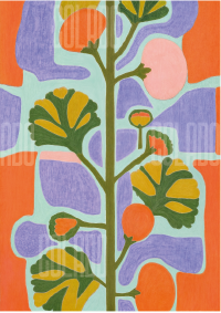 Kit Lambe-lambe Jardim no Quintal