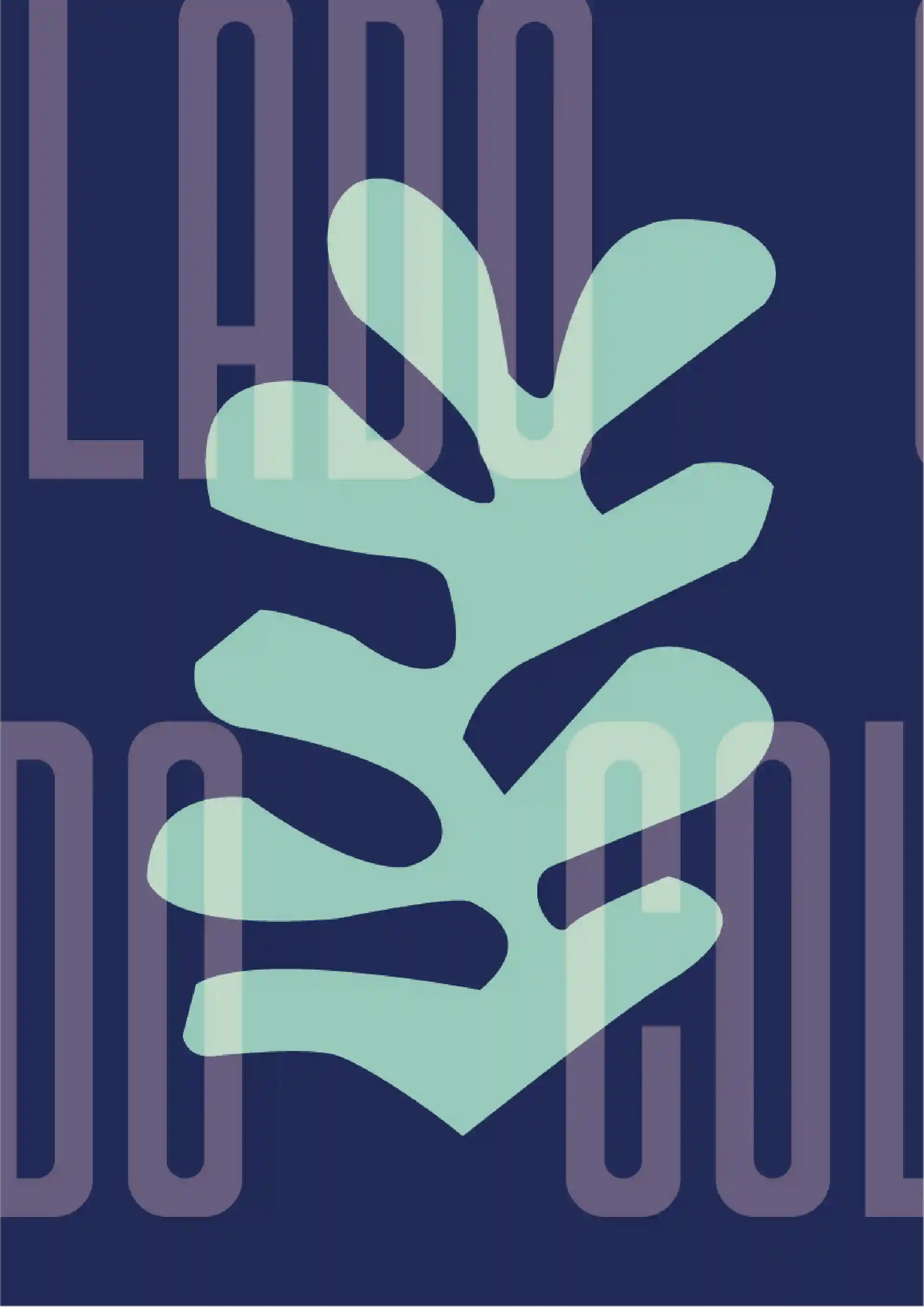 Kit Lambe-lambe Orla Inverno