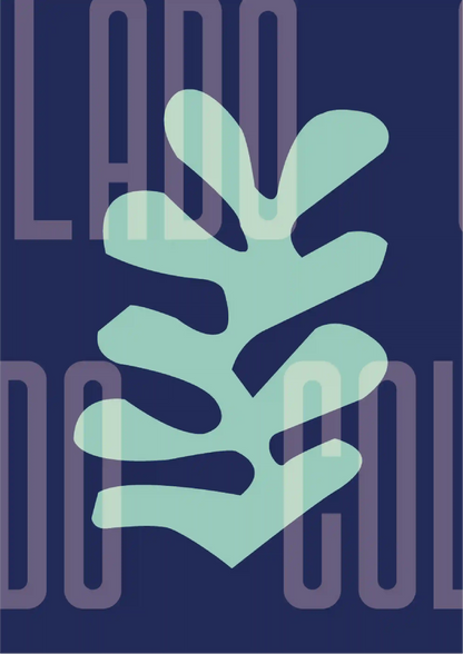 Kit Lambe-lambe Orla Inverno