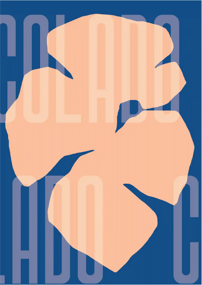 Kit Lambe-lambe Orla Inverno