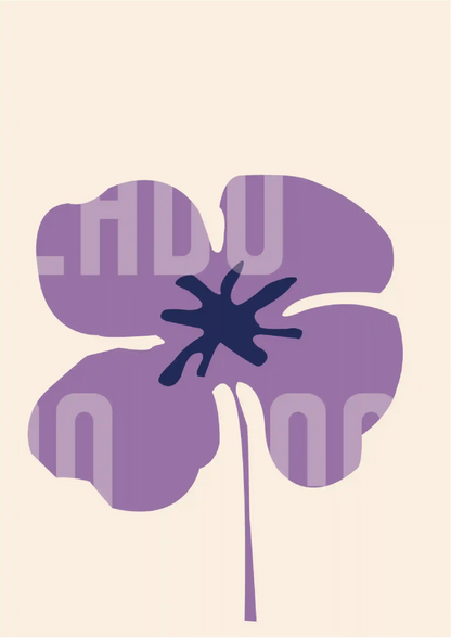 Kit Lambe-lambe Orla Inverno