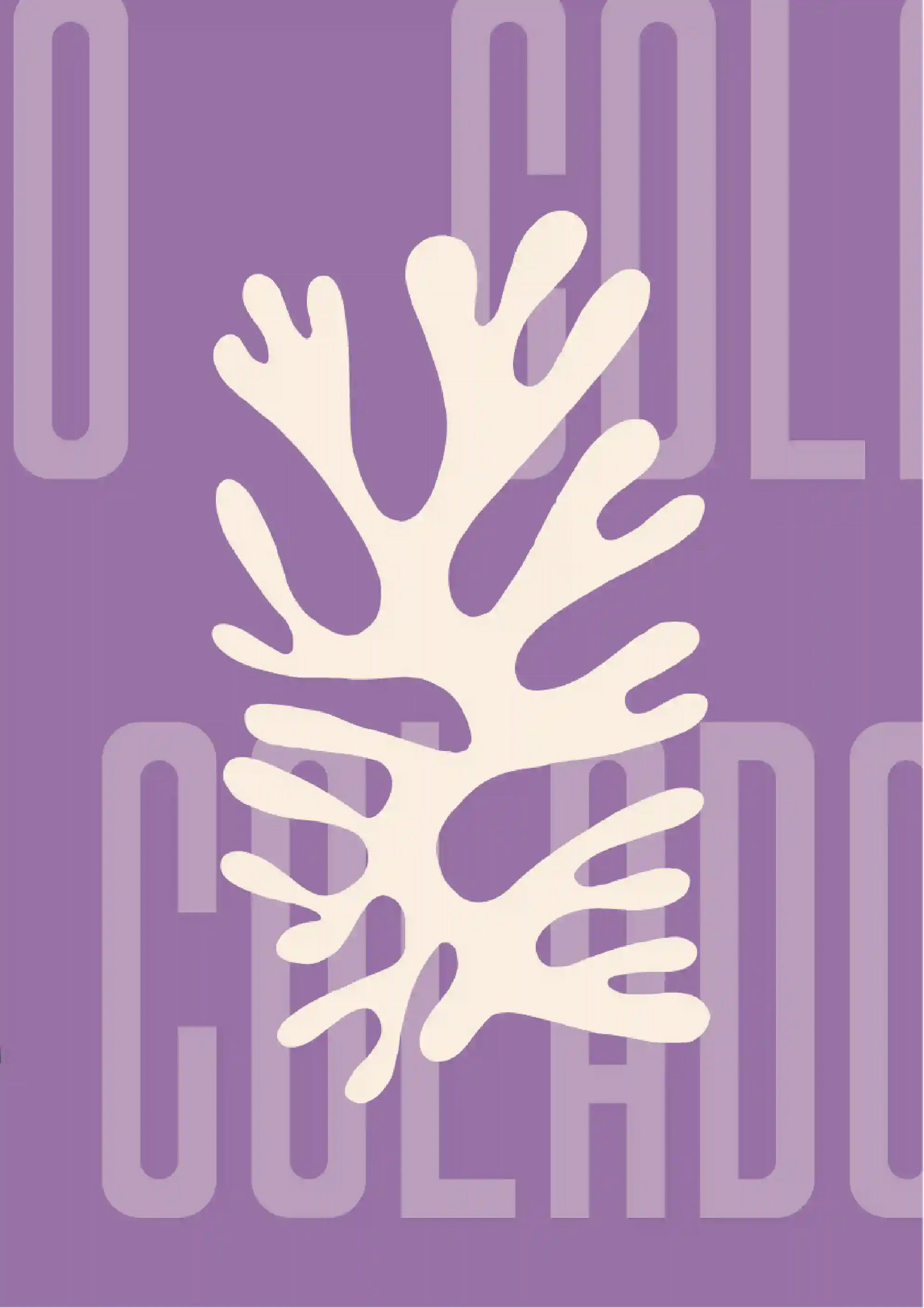 Kit Lambe-lambe Orla Inverno