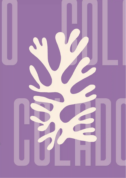 Kit Lambe-lambe Orla Inverno