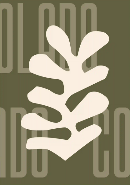 Kit Lambe-lambe Orla Outono