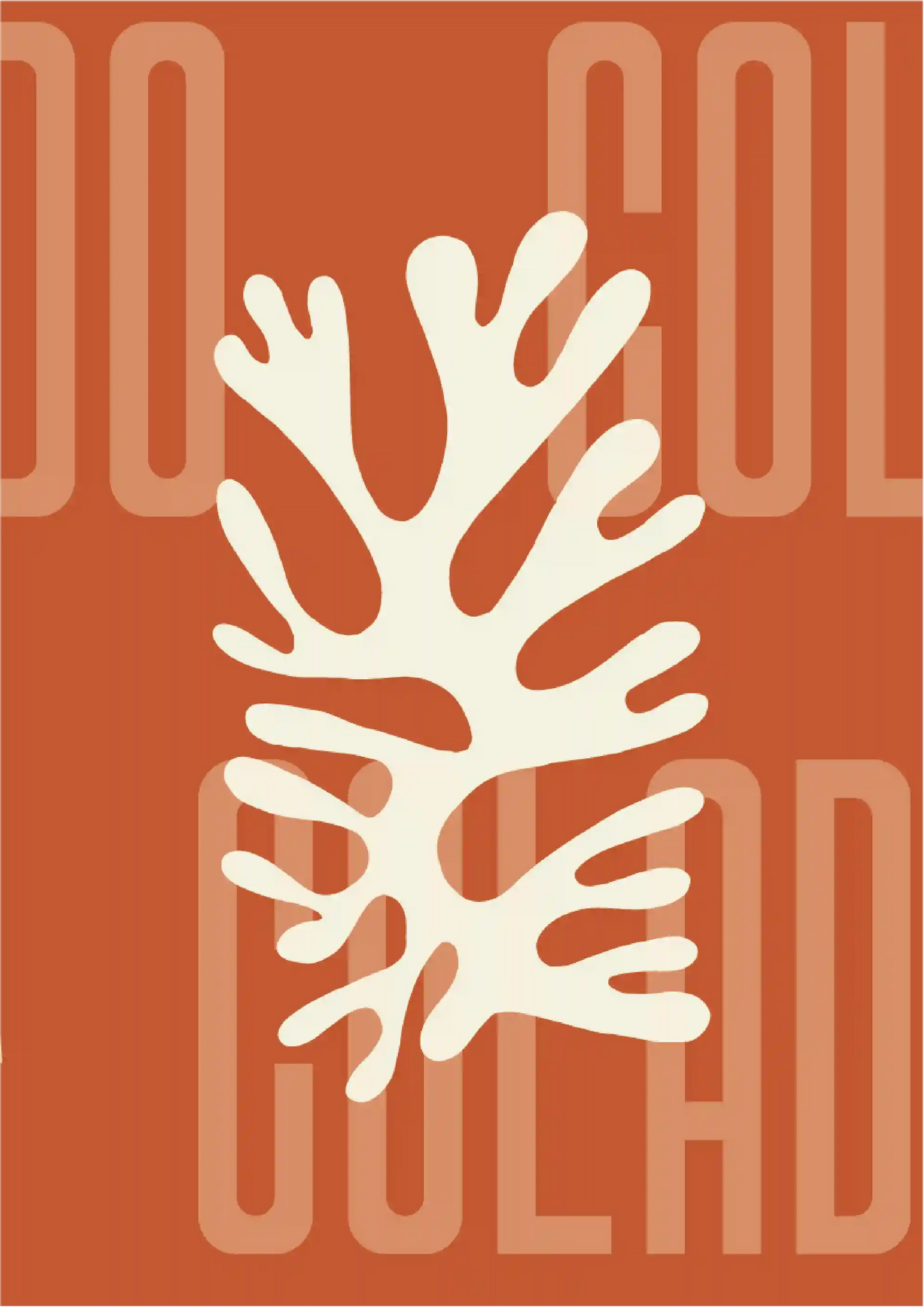 Kit Lambe-lambe Orla Outono