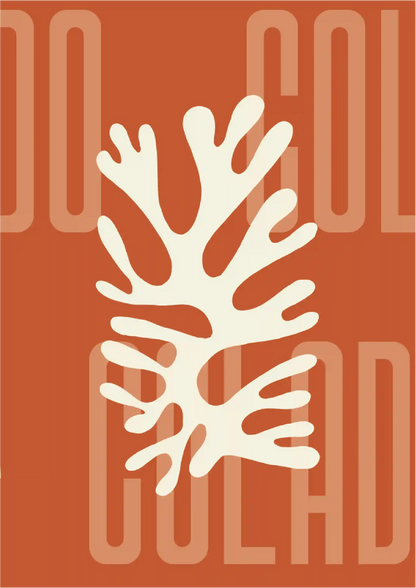 Kit Lambe-lambe Orla Outono