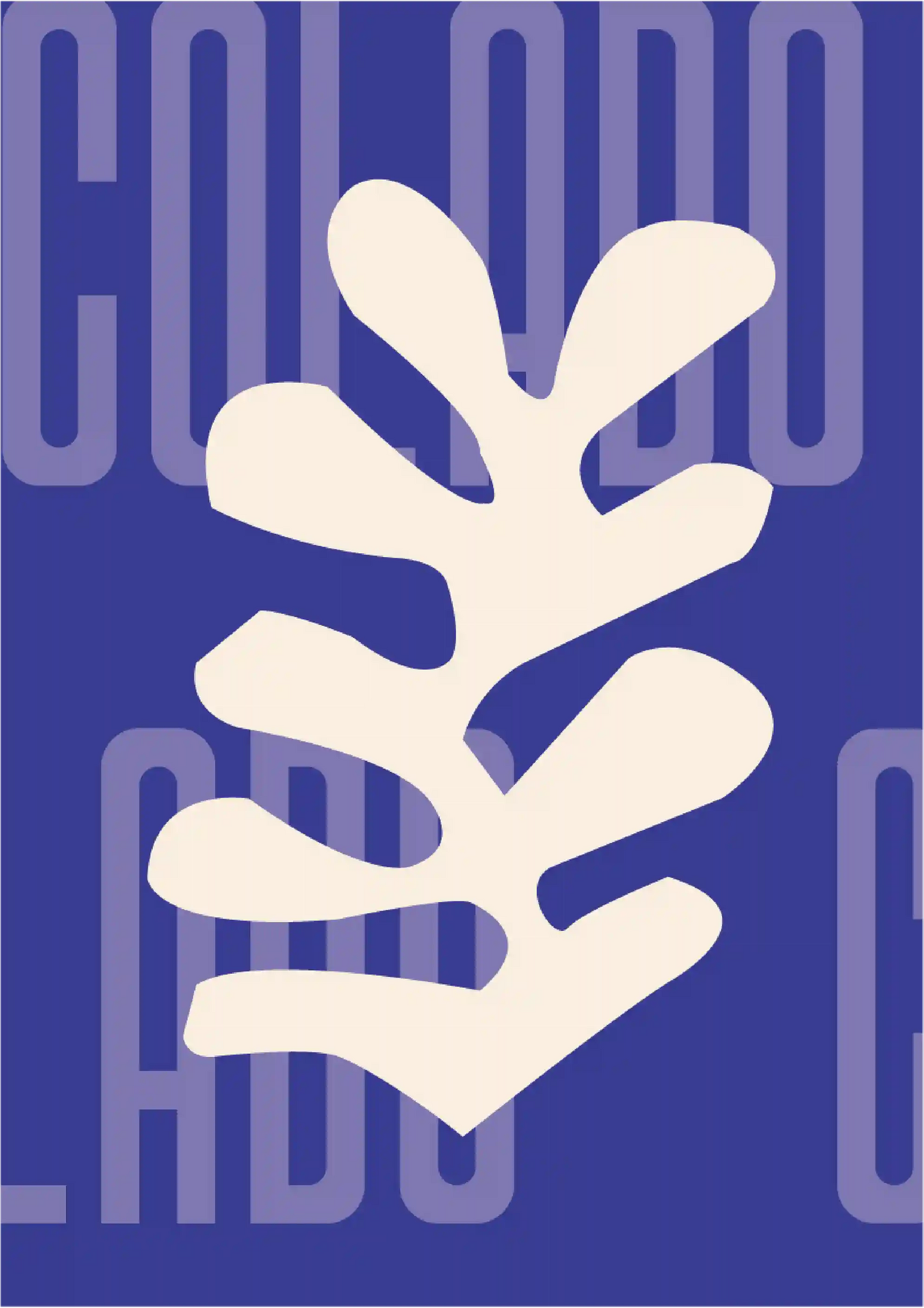 Kit Lambe-lambe Orla Primavera