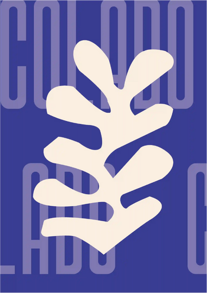 Kit Lambe-lambe Orla Primavera