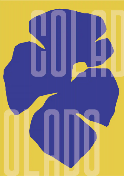 Kit Lambe-lambe Orla Primavera