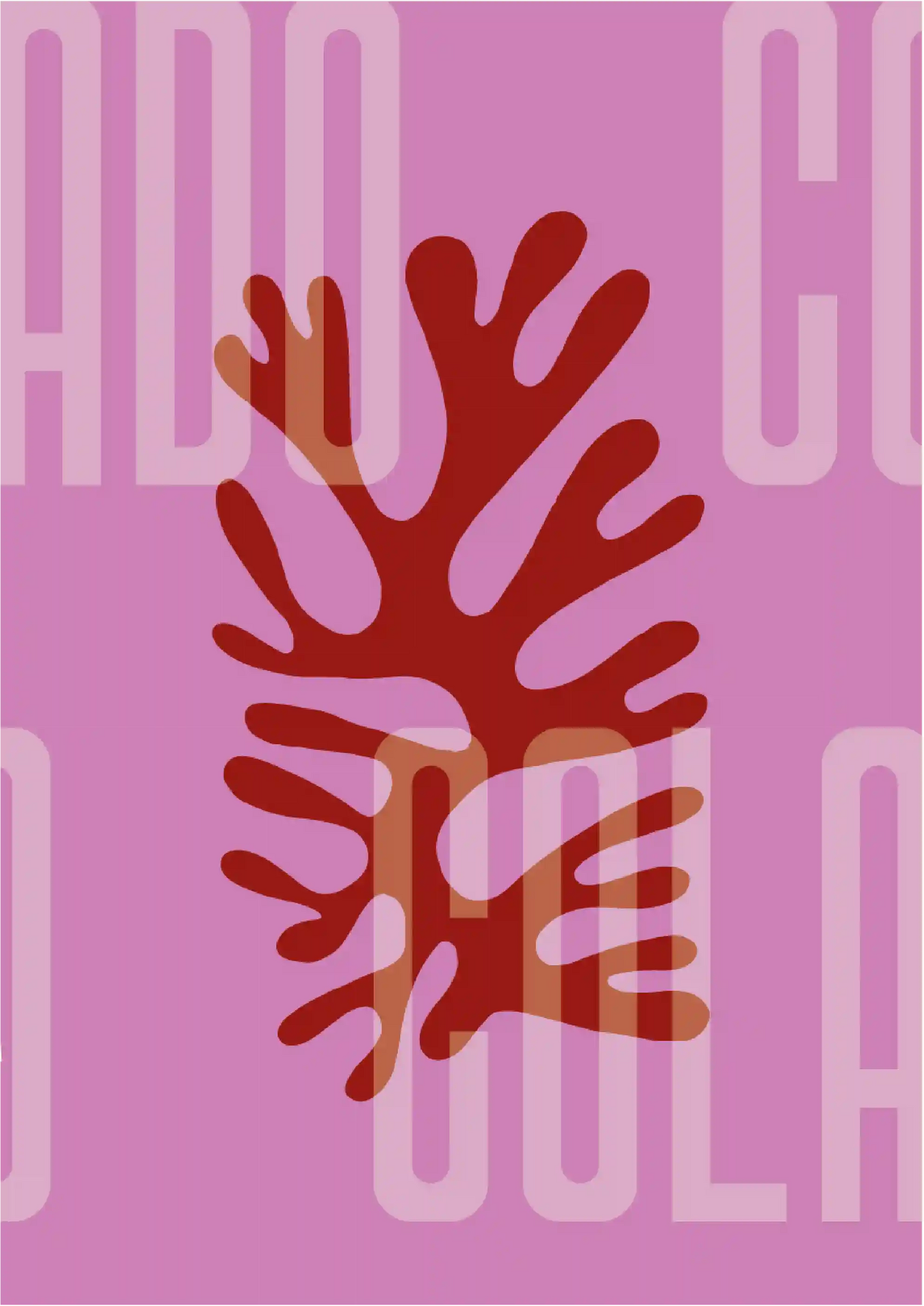 Kit Lambe-lambe Orla Primavera