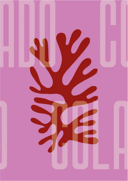 Kit Lambe-lambe Orla Primavera