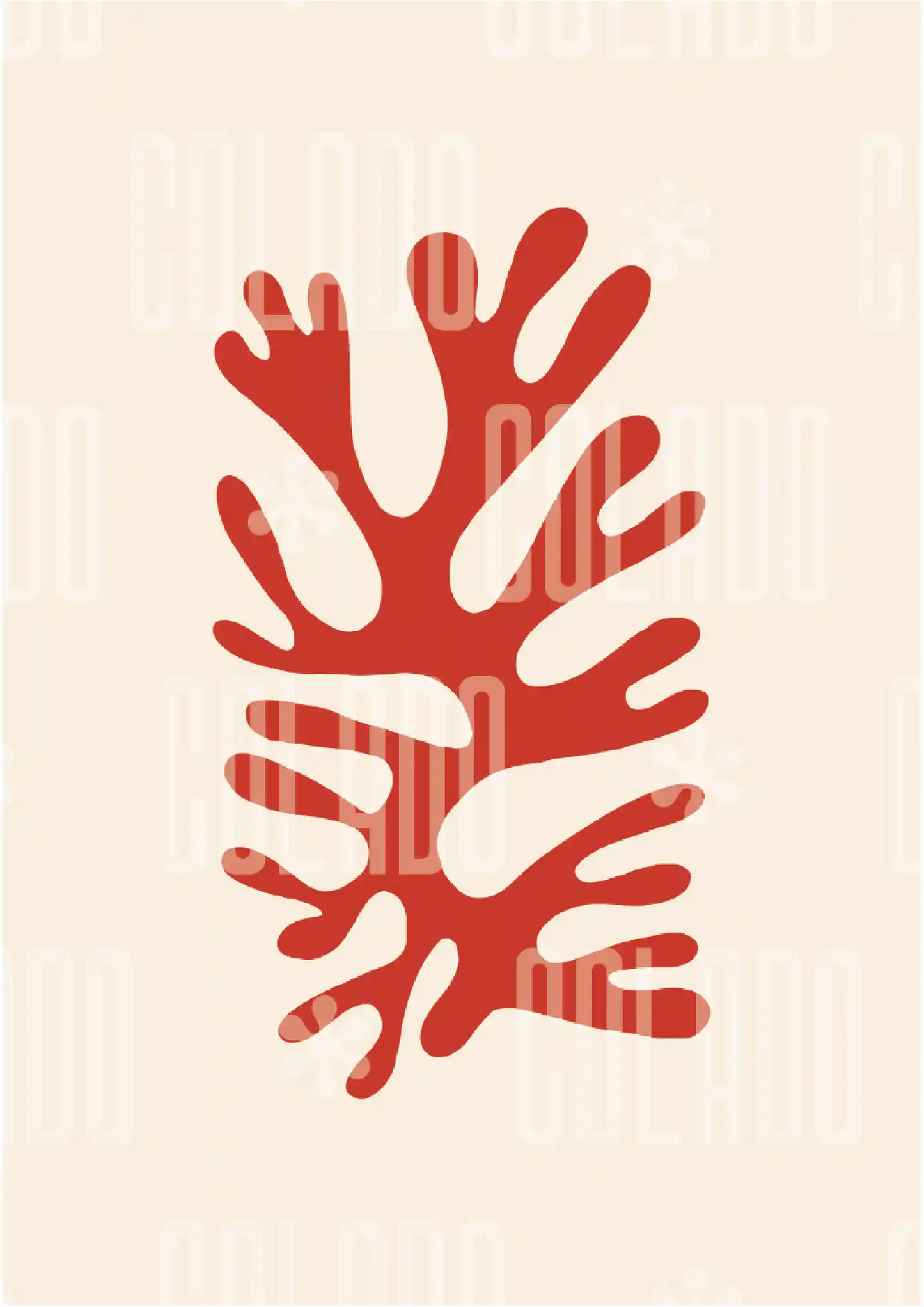 Kit Lambe-lambe Orla Orla Verão