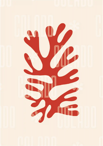 Kit Lambe-lambe Orla Orla Verão