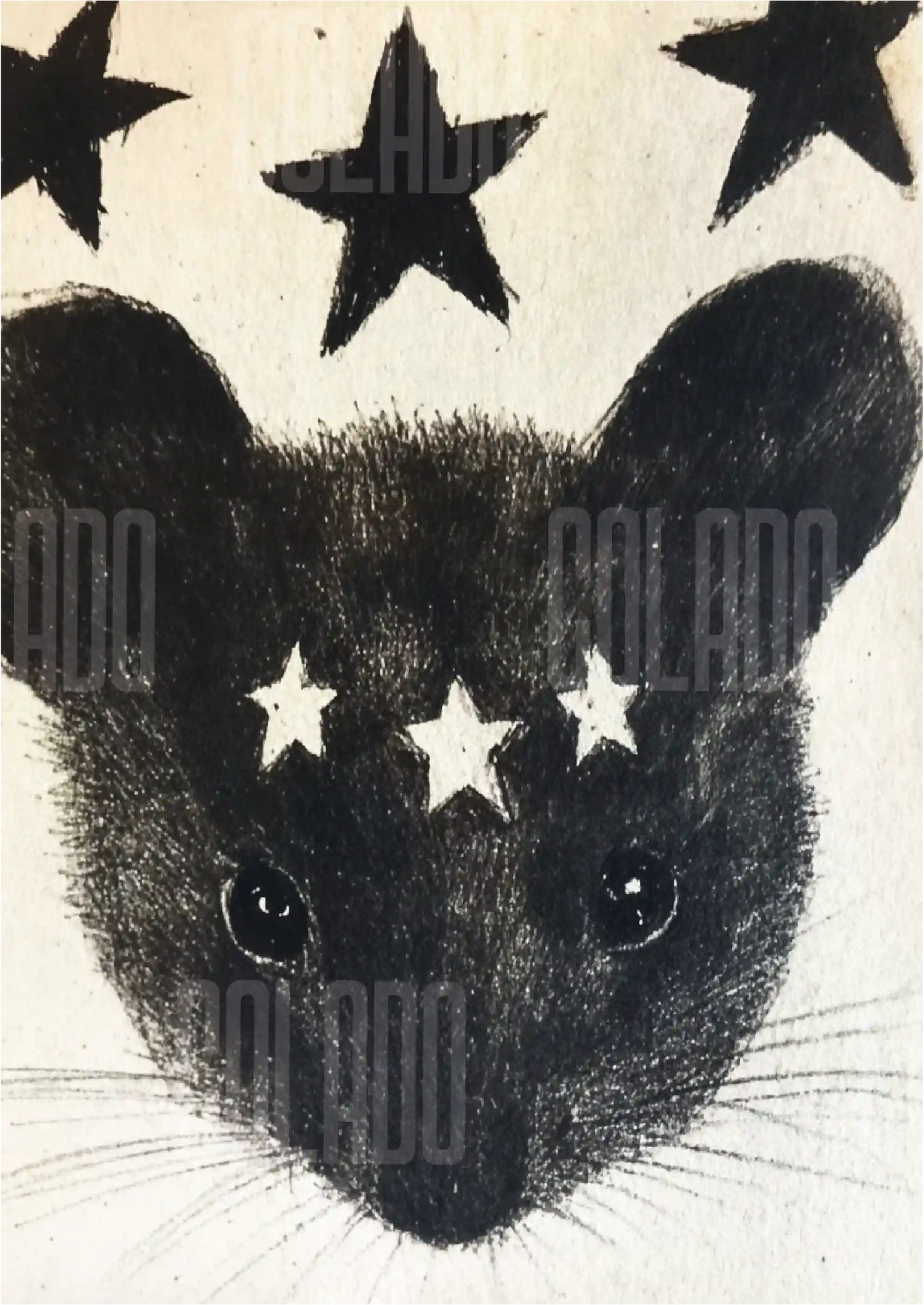 Kit Lambe-lambe Pets