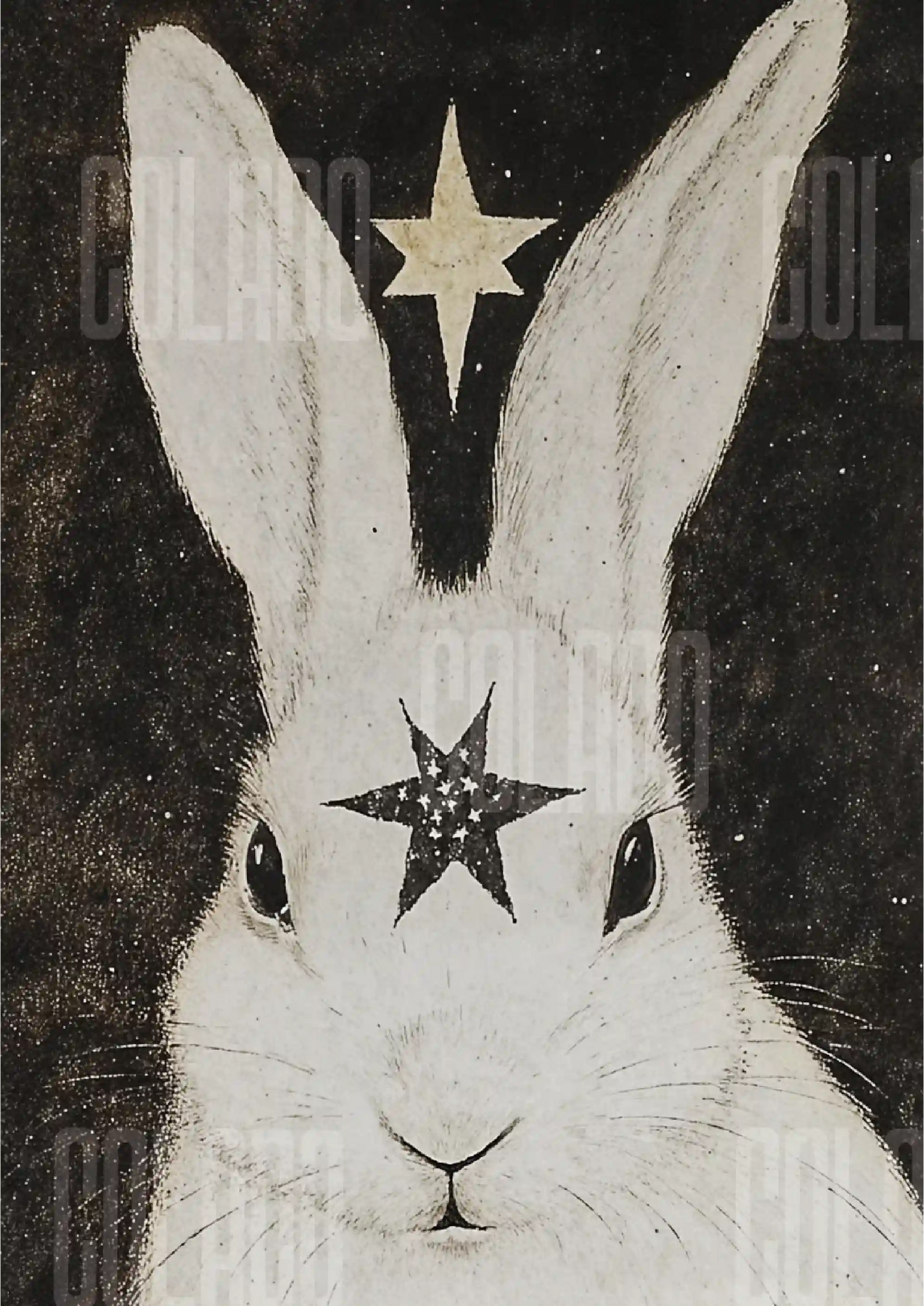 Kit Lambe-lambe Pets