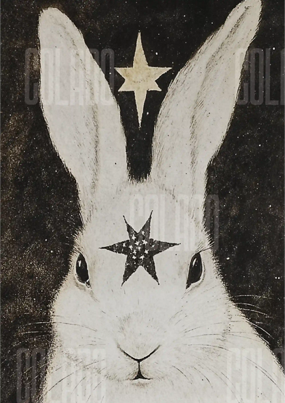 Kit Lambe-lambe Pets