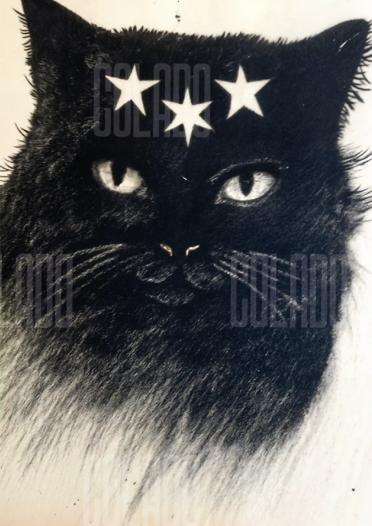 Kit Lambe-lambe Pets