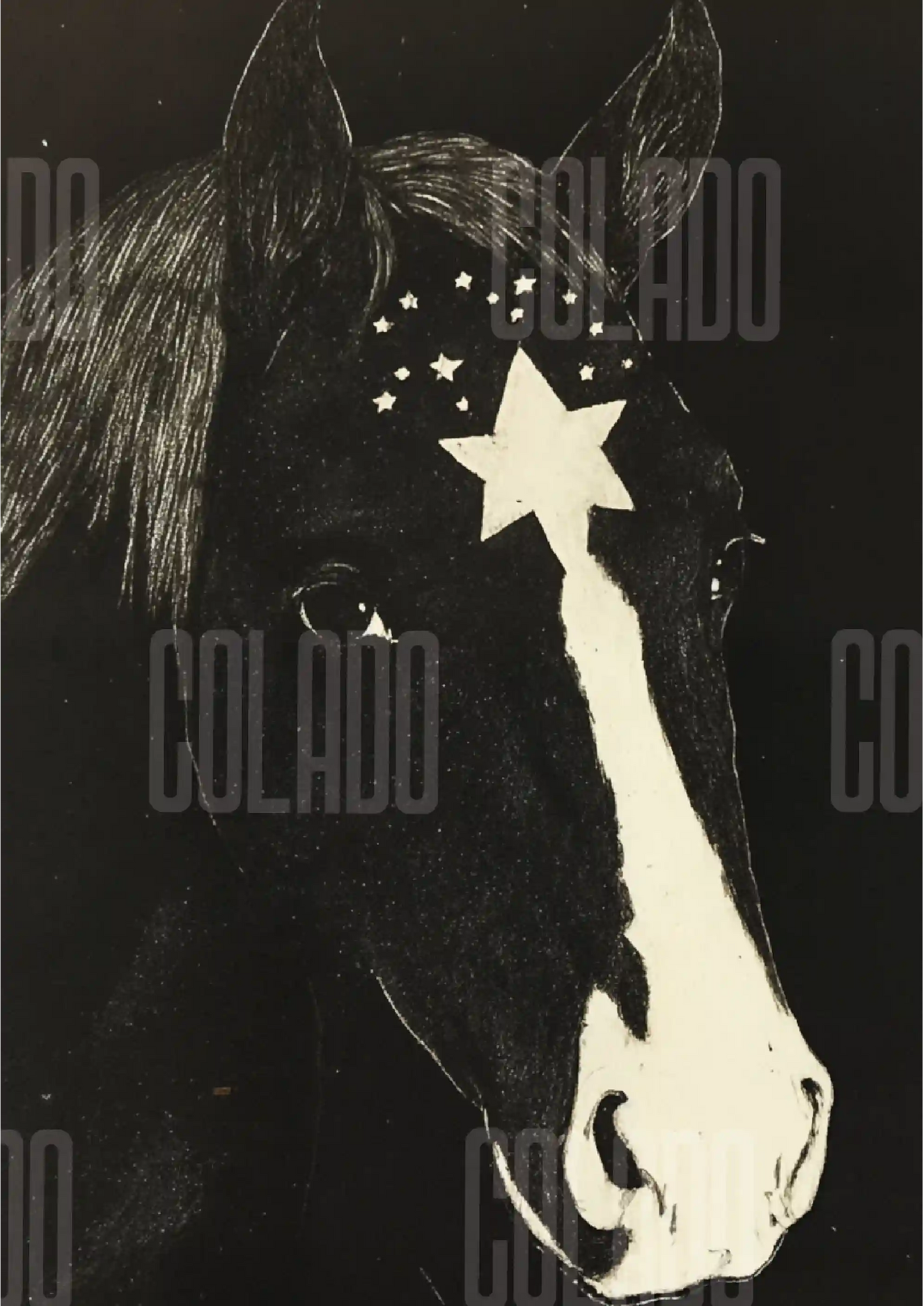 Kit Lambe-lambe Pets