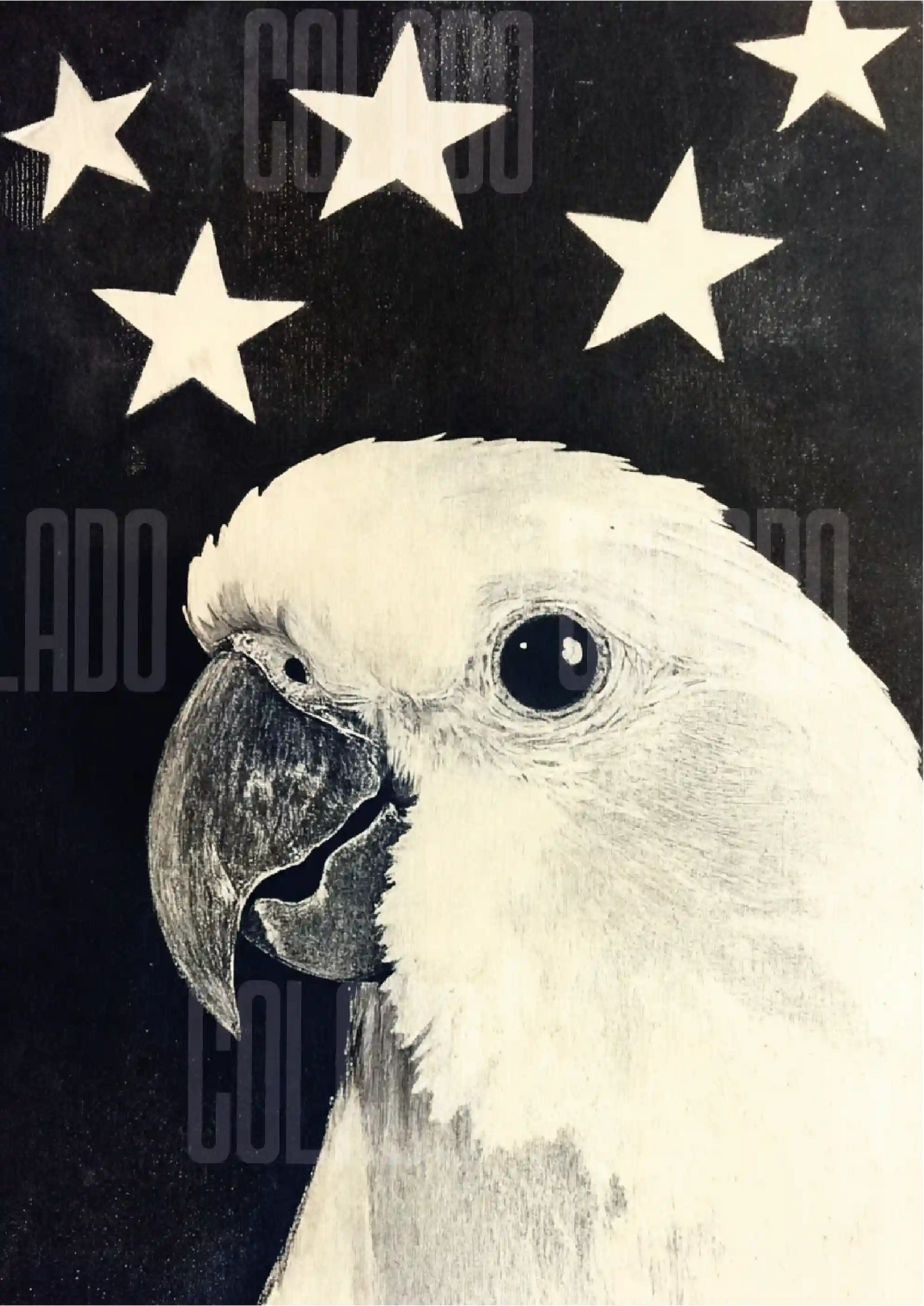 Kit Lambe-lambe Pets