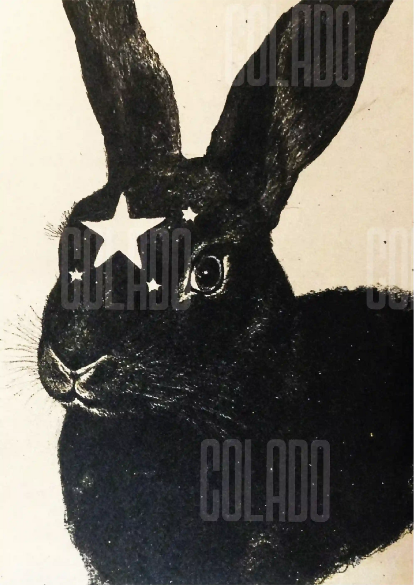 Kit Lambe-lambe Pets