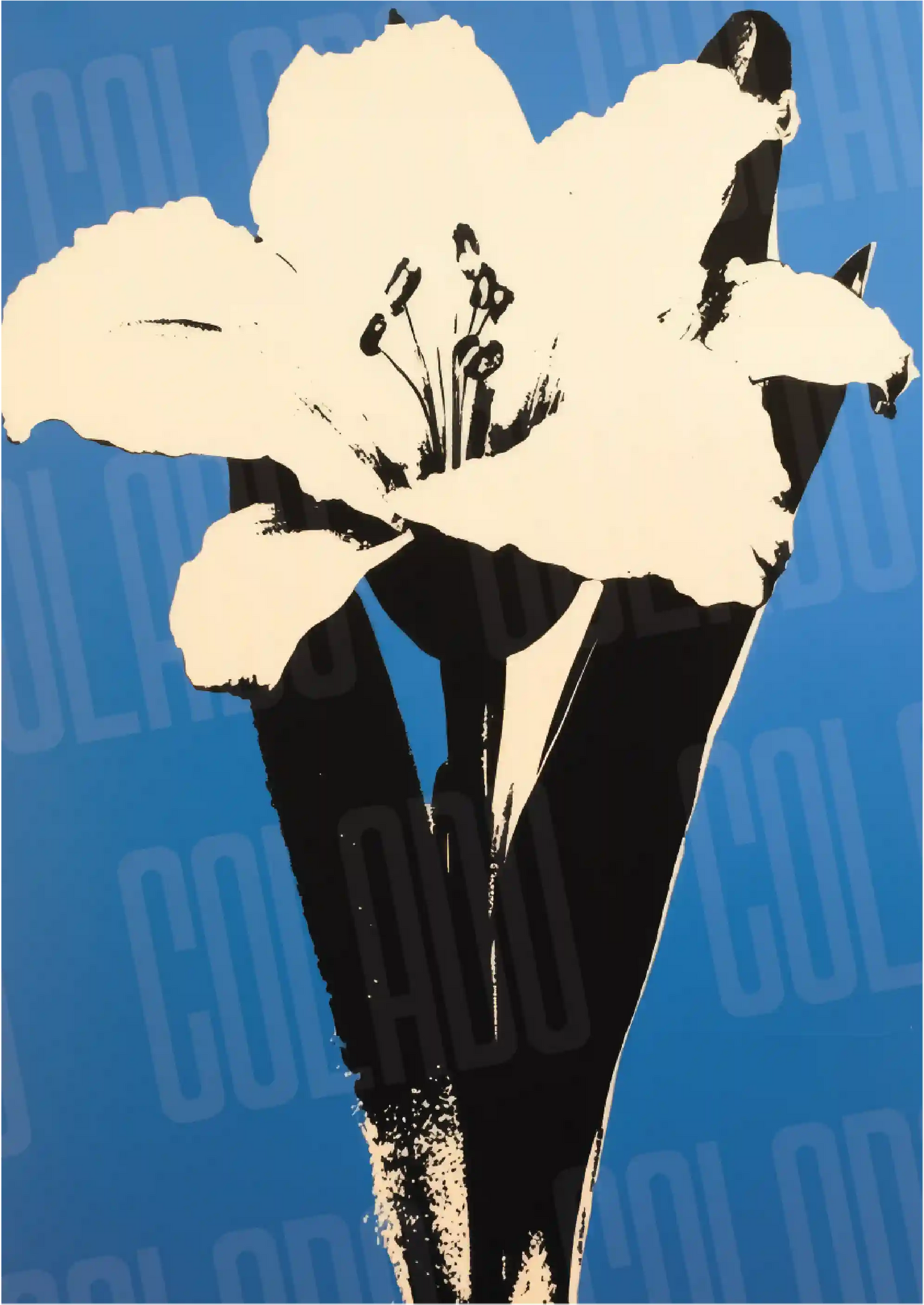 Kit Lambe-lambe Pleasure