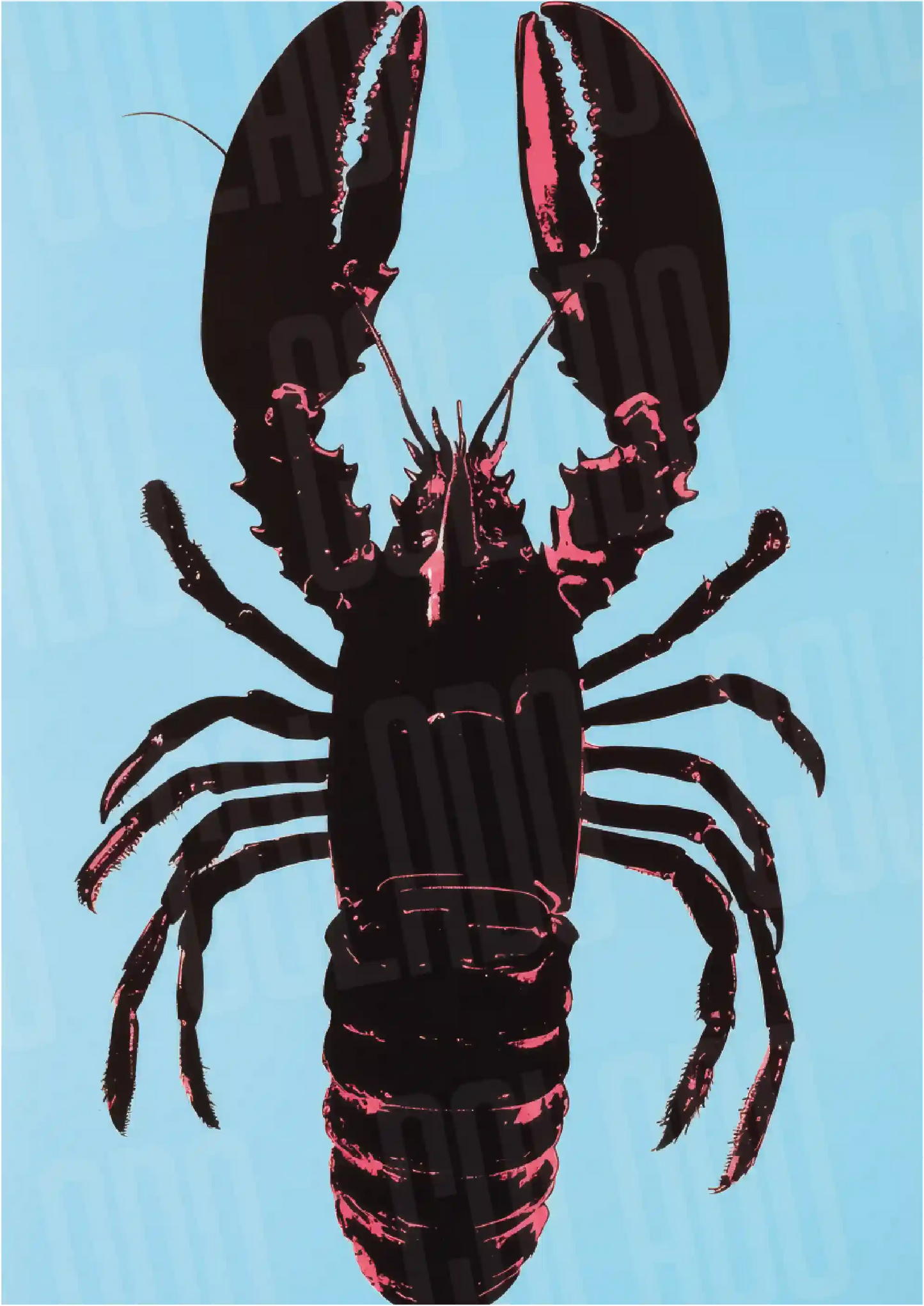 Kit Lambe-lambe Pleasure