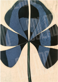 Kit Lambe-lambe Serena Charme