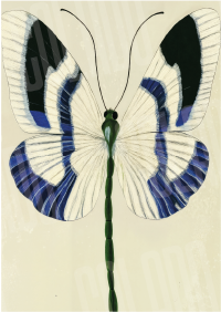 Kit Lambe-lambe Serena Charme