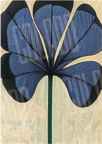 Kit Lambe-lambe Serena Charme