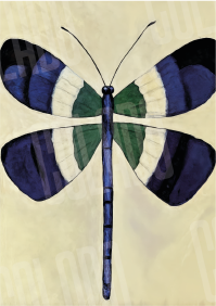 Kit Lambe-lambe Serena Charme