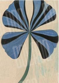 Kit Lambe-lambe Serena Charme