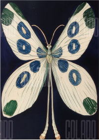 Kit Lambe-lambe Serena Força