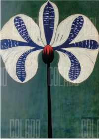 Kit Lambe-lambe Serena Força