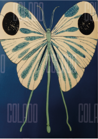 Kit Lambe-lambe Serena Força