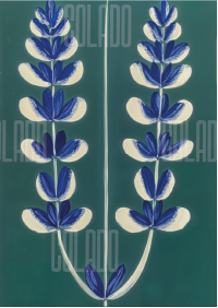 Kit Lambe-lambe Serena Força