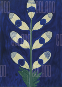 Kit Lambe-lambe Serena Força