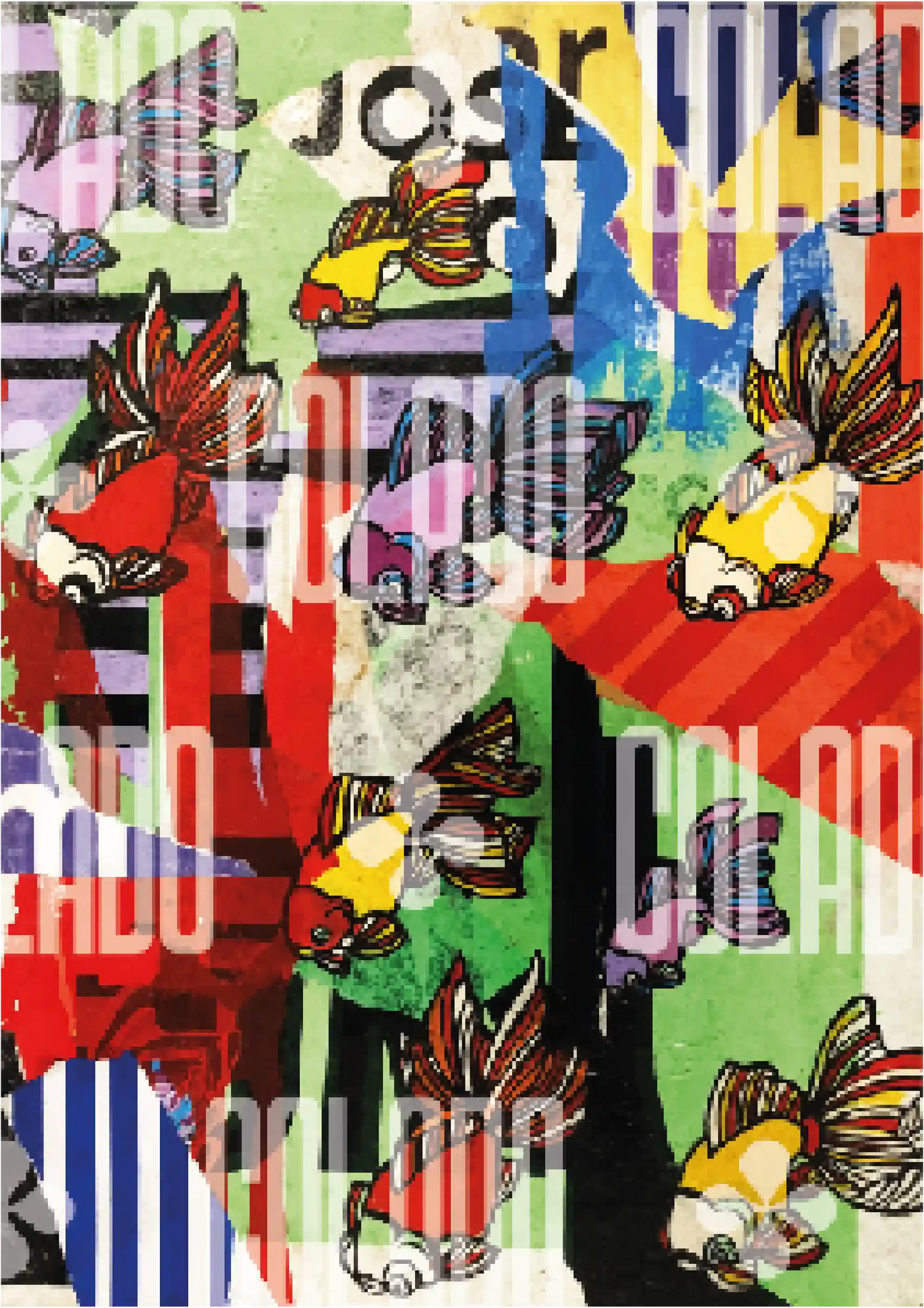 Kit Lambe-lambe Street