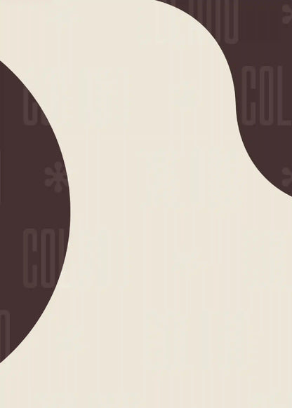 Kit Lambe-lambe Curvas Bicolor